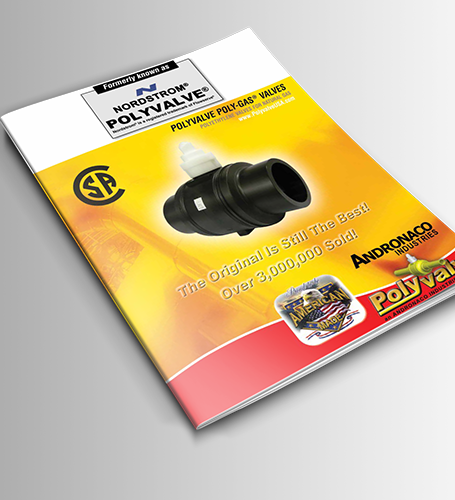 Poly-Gas PDF Cover